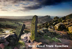 Hen Cloud from Roaches